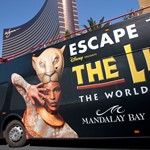 Lionking Vegas W