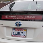 Prius Window Graphic 11331 W